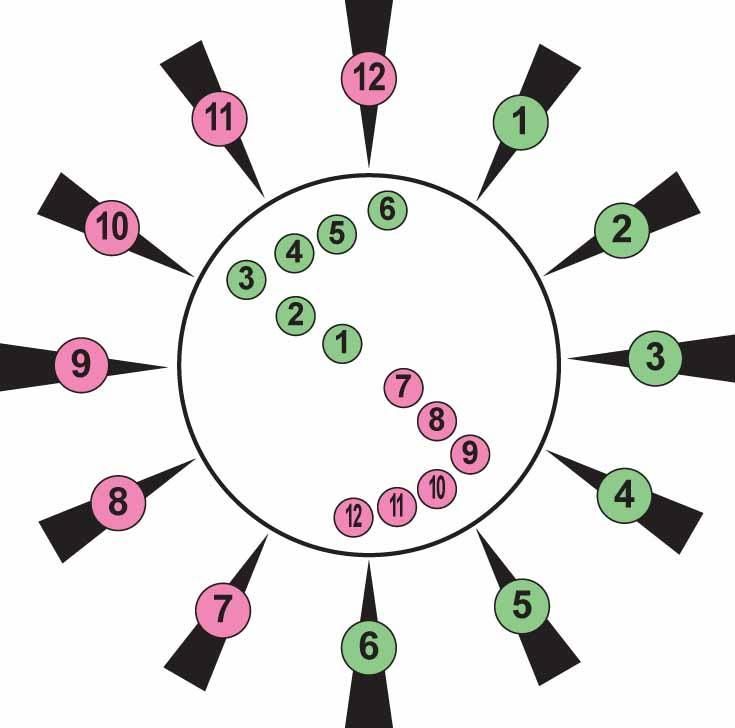 Tail wind or head wind affect on bullet PredatorMasters Forums